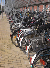 Hanze University campus bikes