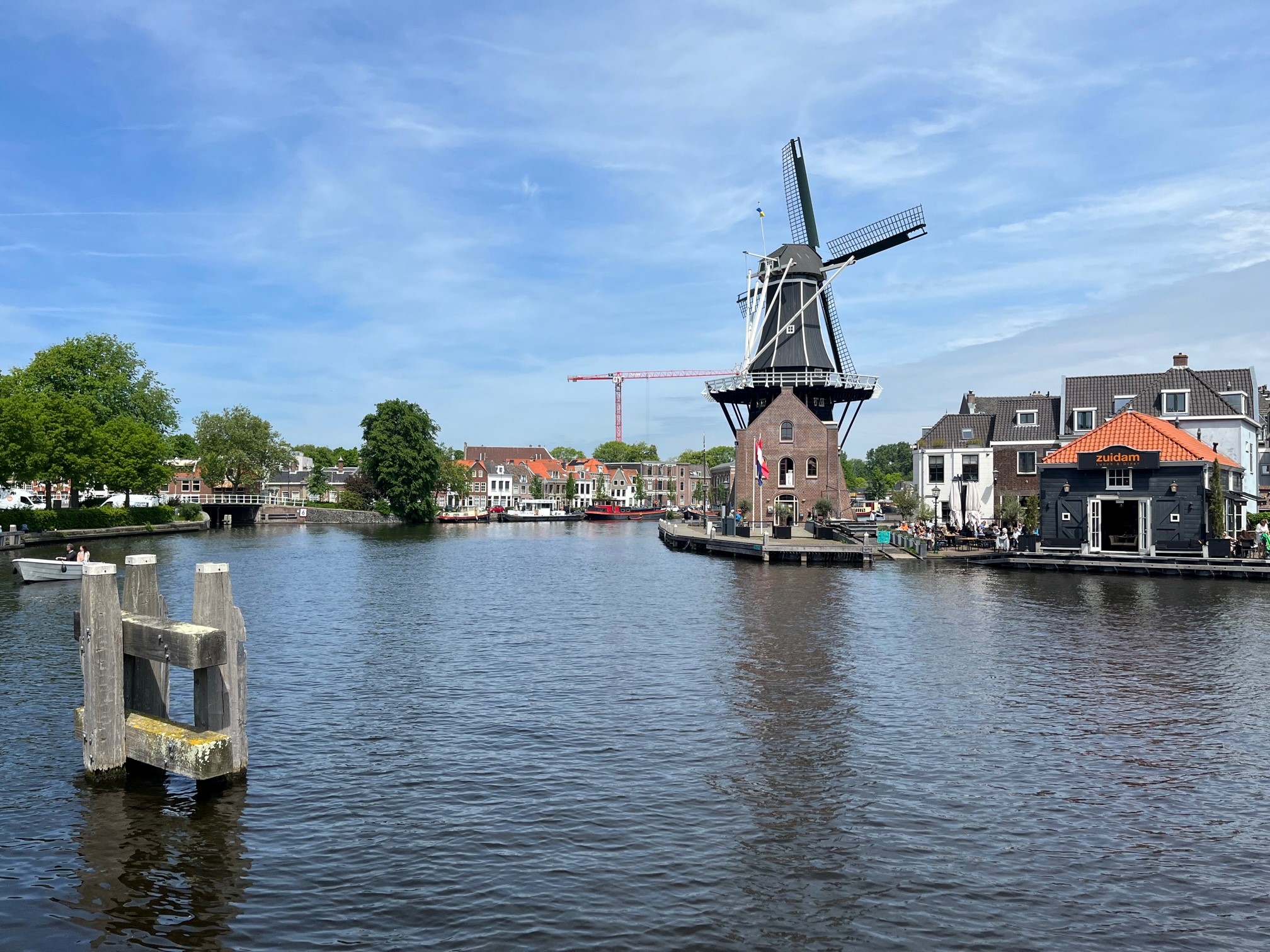 Study In Haarlem The Netherlands